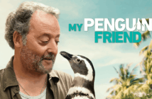 My Penguin Friend