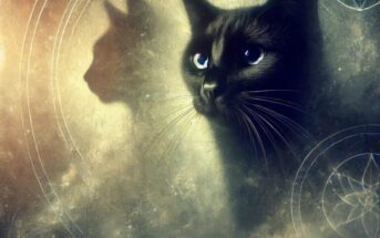 Rüyada Kara Kedi Görmek Ne Anlama Gelir? Kara Kedi Sevmek Yavrusu