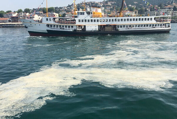 Müsilaj (Deniz Salyası)