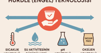 Hurdle (Engel) Teknolojisi Nedir? Tarihi, Önemi ve Avantajları Hurdle (Engel) Teknolojisi