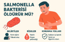 Salmonella Bakterisi Öldürür mü