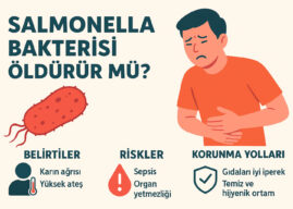 Salmonella Bakterisi Öldürür mü? Belirtileri, Riskleri ve Korunma Yolları