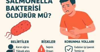 Salmonella Bakterisi Öldürür mü